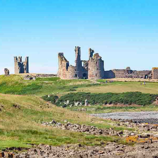 Old Destroyed Castle makes a perfect background for any fresh or salt water tank or aquarium as well as dry terrariums.