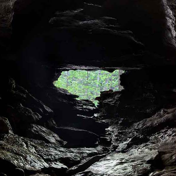 Outward Cave View will make a perfect background for any fresh or salt water tank or aquarium as well as dry terrariums.