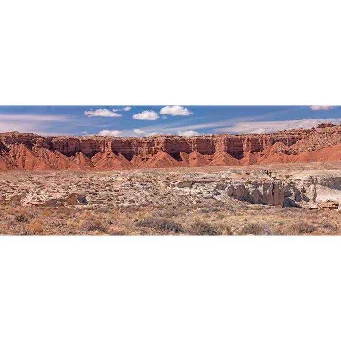 Red Rock Desert will make a perfect background for any fresh or salt water tank or aquarium as well as dry terrariums.