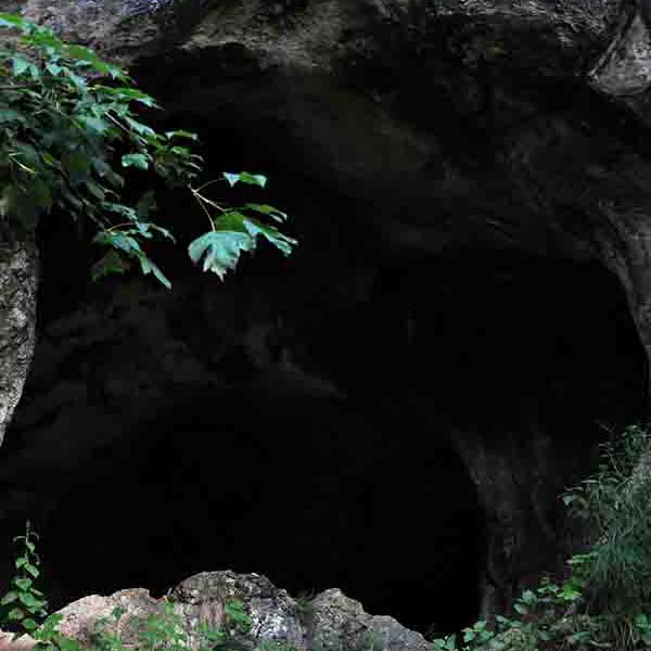 Remote Cave Entrance will make a perfect background for any fresh or salt water tank or aquarium as well as dry terrariums.