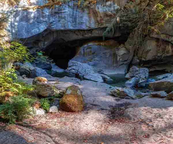 River Cave Canyon II will make a perfect background for any fresh or salt water tank or aquarium as well as dry terrariums.