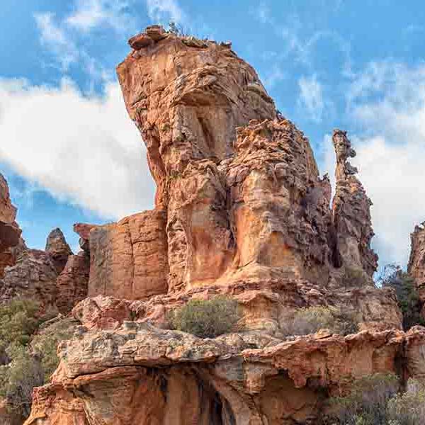 Rock Formation Cave will make a perfect background for any fresh or salt water tank or aquarium as well as dry terrariums.