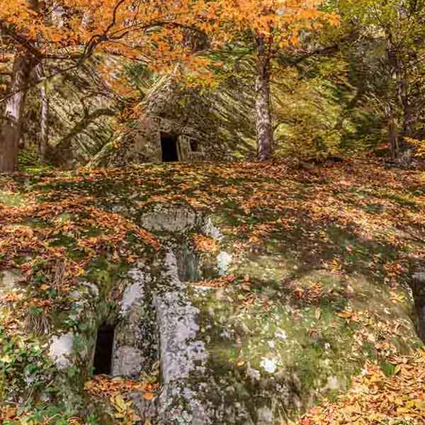 Romania Hermitage Cave will make a perfect background for any fresh or salt water tank or aquarium as well as dry terrariums.