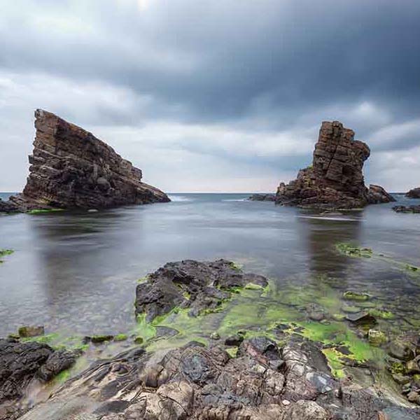 Sea Rock Formation II will make a perfect background for any fresh or salt water tank or aquarium as well as dry terrariums.