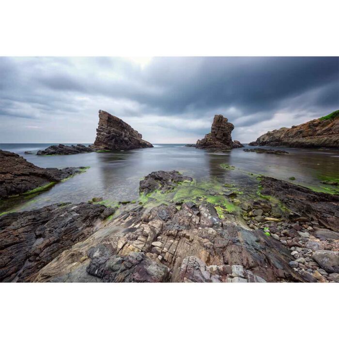 Sea Rock Formation II will make a perfect background for any fresh or salt water tank or aquarium as well as dry terrariums.