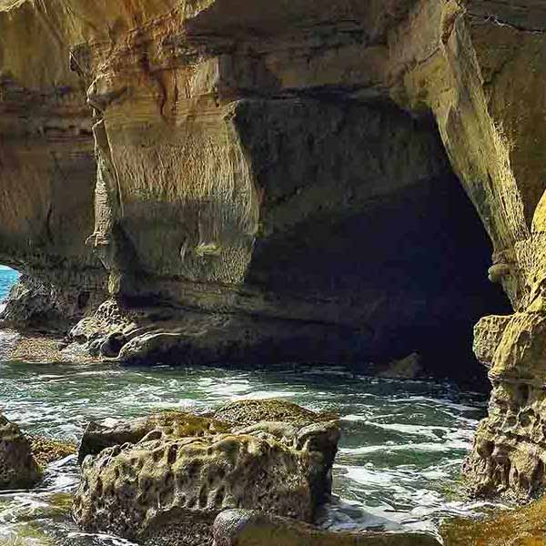 Secret Cave Entrance will make a perfect background for any fresh or salt water tank or aquarium as well as dry terrariums.