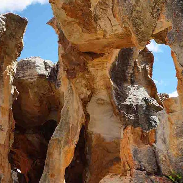 Stadsaal Cederberg Caves III will make a perfect background for any fresh or salt water tank or aquarium as well as dry terrariums.