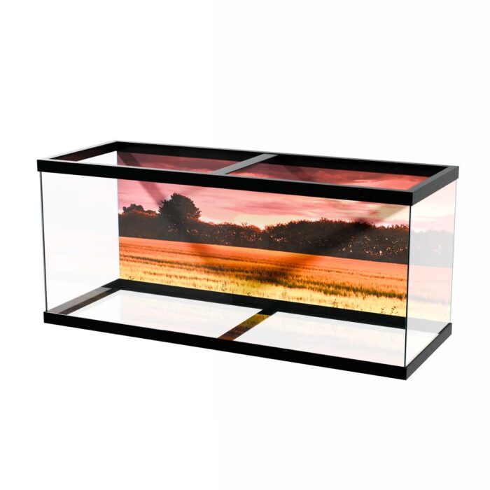 Stunning Sunset Field will make a perfect background for any fresh or salt water tank or aquarium as well as dry terrariums.