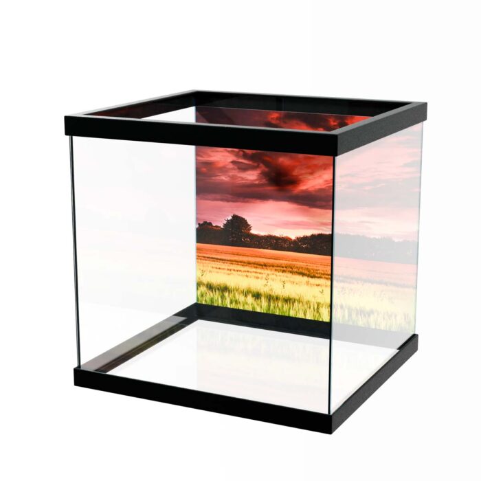 Stunning Sunset Field will make a perfect background for any fresh or salt water tank or aquarium as well as dry terrariums.