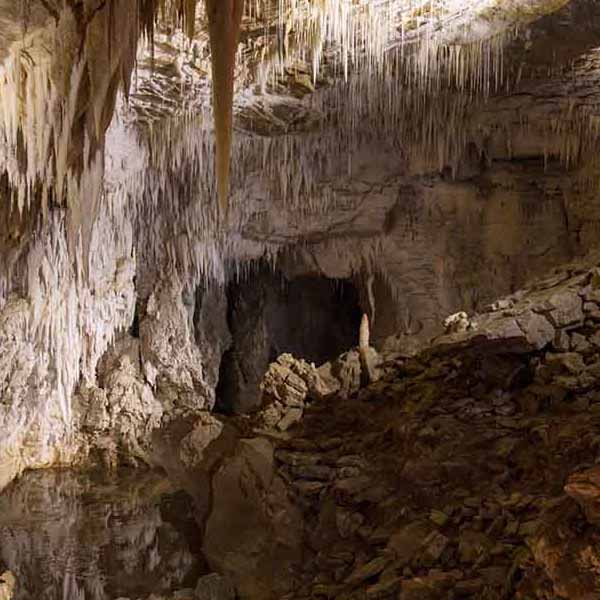 Sunlight Waitomo Cave will make a perfect background for any fresh or salt water tank or aquarium as well as dry terrariums.