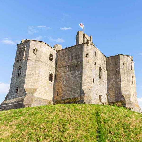 Sunny Castle Ruins makes a perfect background for any fresh or salt water tank or aquarium as well as dry terrariums.