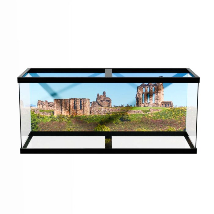 Old Castle Ruins makes a perfect background for any fresh or salt water tank or aquarium as well as dry terrariums.