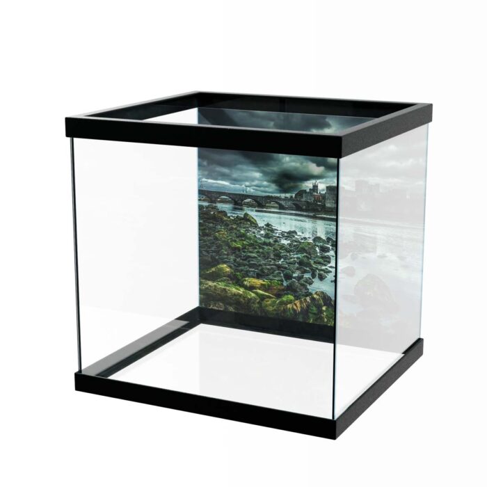 Cloudy Castle View makes a perfect background for any fresh or salt water tank or aquarium as well as dry terrariums.