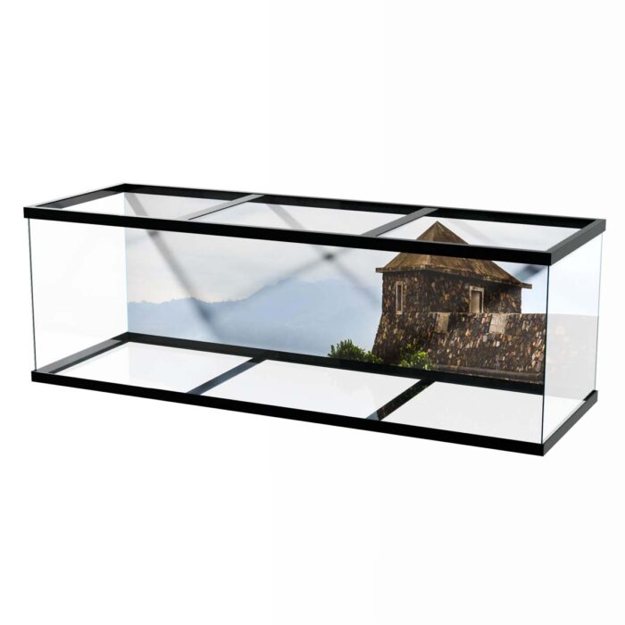 Castle Lake View makes a perfect background for any fresh or salt water tank or aquarium as well as dry terrariums.