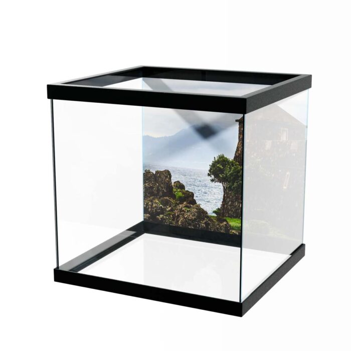 Castle Lake View makes a perfect background for any fresh or salt water tank or aquarium as well as dry terrariums.