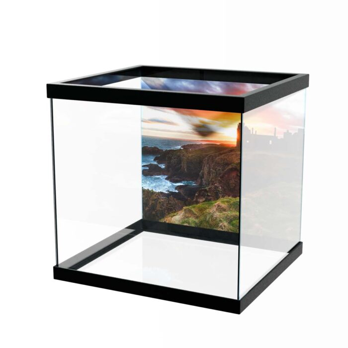 Sunset Castle Ruins II makes a perfect background for any fresh or salt water tank or aquarium as well as dry terrariums.