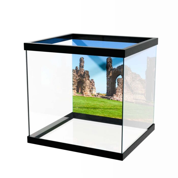 Tynemouth Castle Priory makes a perfect background for any fresh or salt water tank or aquarium as well as dry terrariums.