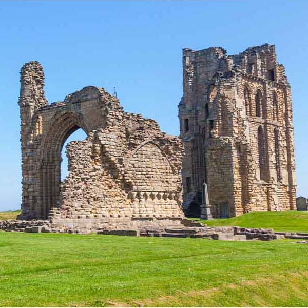 Tynemouth Castle Priory makes a perfect background for any fresh or salt water tank or aquarium as well as dry terrariums.