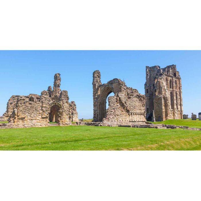 Tynemouth Castle Priory makes a perfect background for any fresh or salt water tank or aquarium as well as dry terrariums.