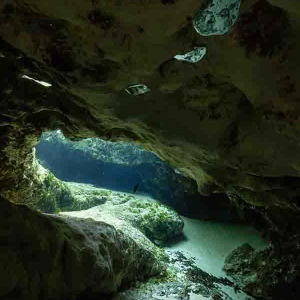 Underwater Cave Formation will make a perfect background for any fresh or salt water tank or aquarium as well as dry terrariums.