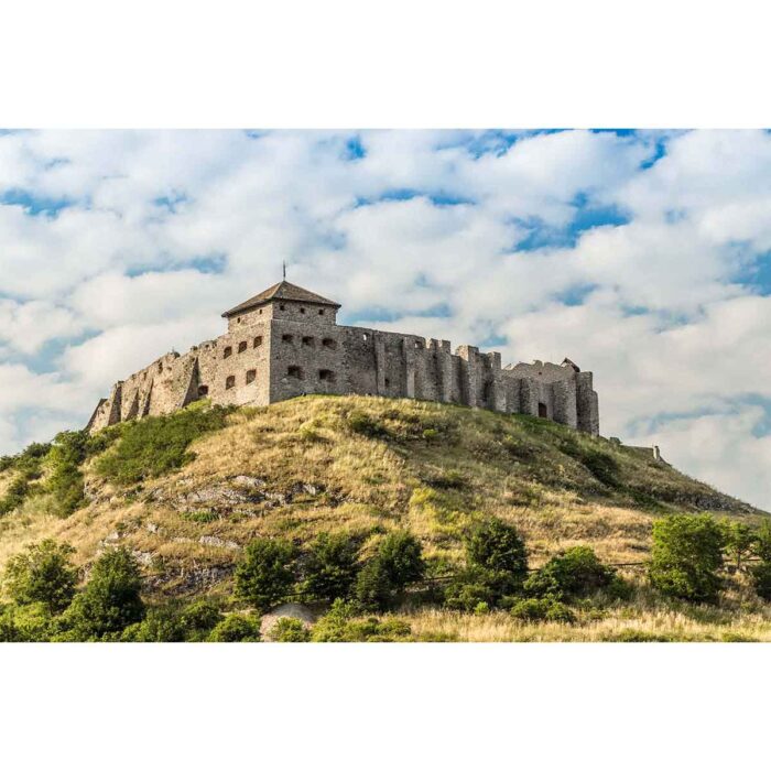 Upward Castle View makes a perfect background for any fresh or salt water tank or aquarium as well as dry terrariums.