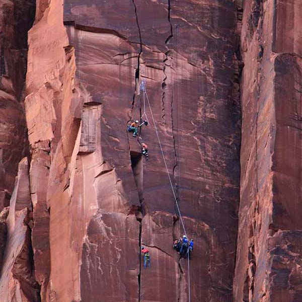 Utah Rock Climbers will make a perfect background for any fresh or salt water tank or aquarium as well as dry terrariums.