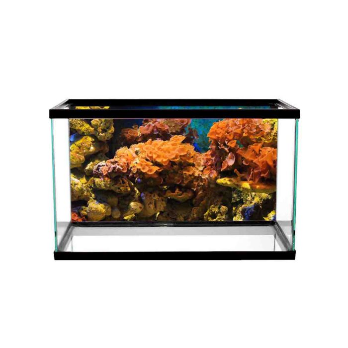 Underwater Coral Reef will make a perfect background for any fresh or salt water tank or aquarium as well as dry terrariums.