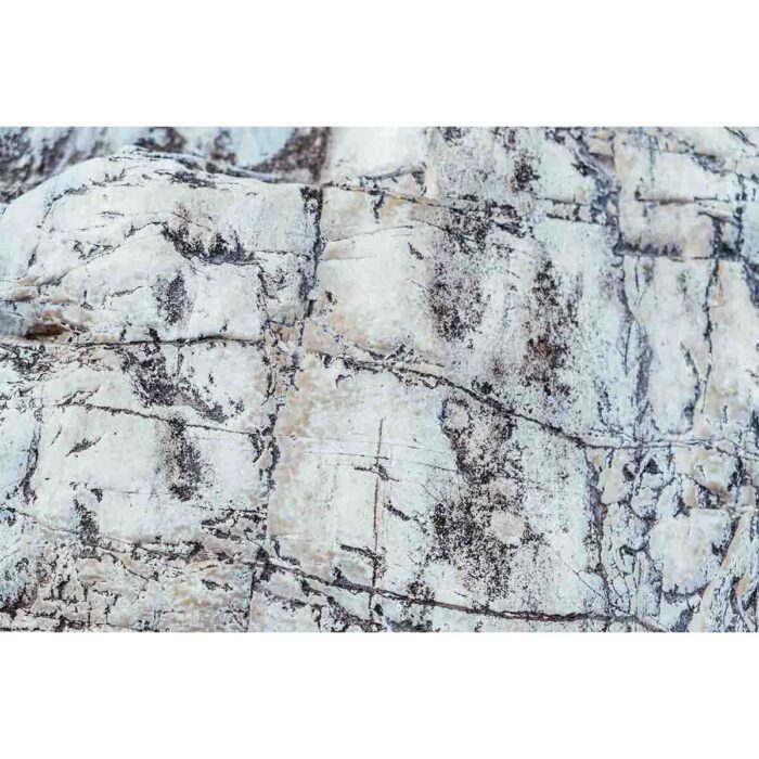 Abstract Rock Background will make a perfect background for any fresh or salt water tank or aquarium as well as dry terrariums.