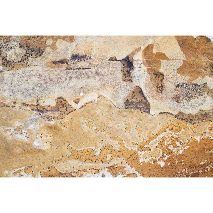 Abstract Stone Texture will make a perfect background for any fresh or salt water tank or aquarium as well as dry terrariums.