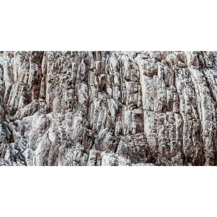 Abstract Vertical Rock will make a perfect background for any fresh or salt water tank or aquarium as well as dry terrariums.