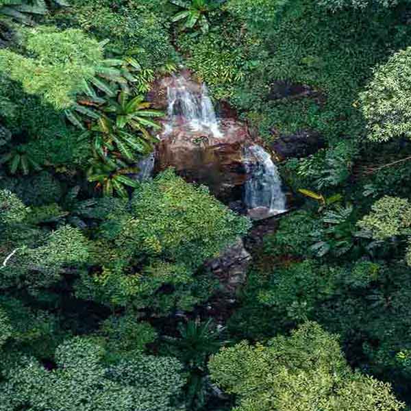 Aerial Jungle Waterfall will make a perfect background for any fresh or salt water tank or aquarium as well as dry terrariums.