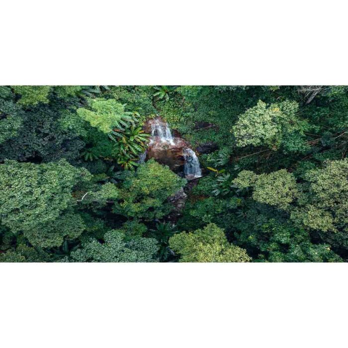 Aerial Jungle Waterfall will make a perfect background for any fresh or salt water tank or aquarium as well as dry terrariums.