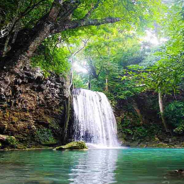 Amazing Erawan Waterfall will make a perfect background for any fresh or salt water tank or aquarium as well as dry terrariums.