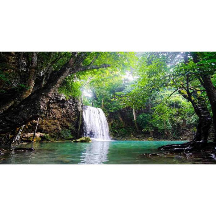 Amazing Erawan Waterfall will make a perfect background for any fresh or salt water tank or aquarium as well as dry terrariums.