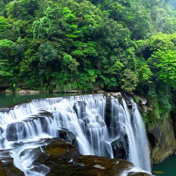 Amazing Taiwan Waterfall will make a perfect background for any fresh or salt water tank or aquarium as well as dry terrariums.