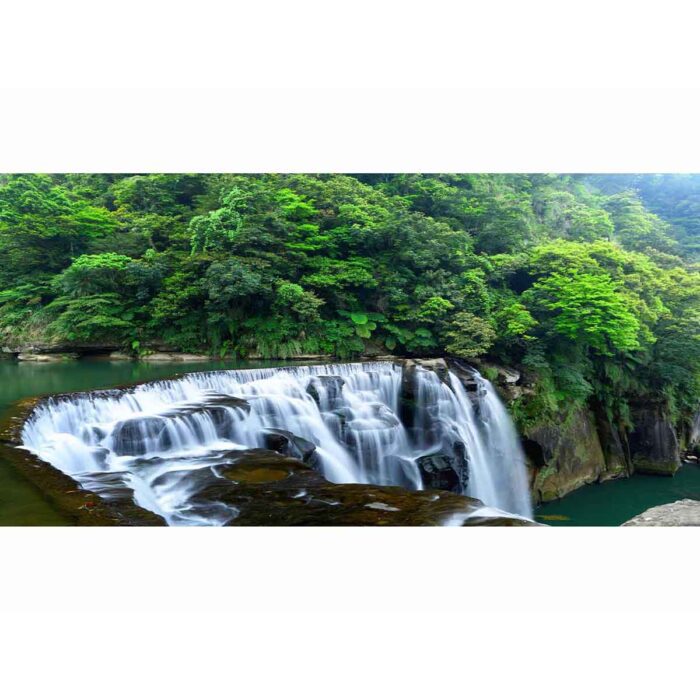 Amazing Taiwan Waterfall will make a perfect background for any fresh or salt water tank or aquarium as well as dry terrariums.