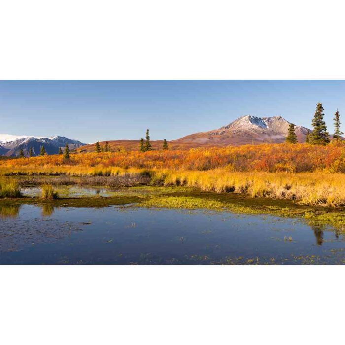 Ancient Dormant Volcano will make a perfect background for any fresh or salt water tank or aquarium as well as dry terrariums.