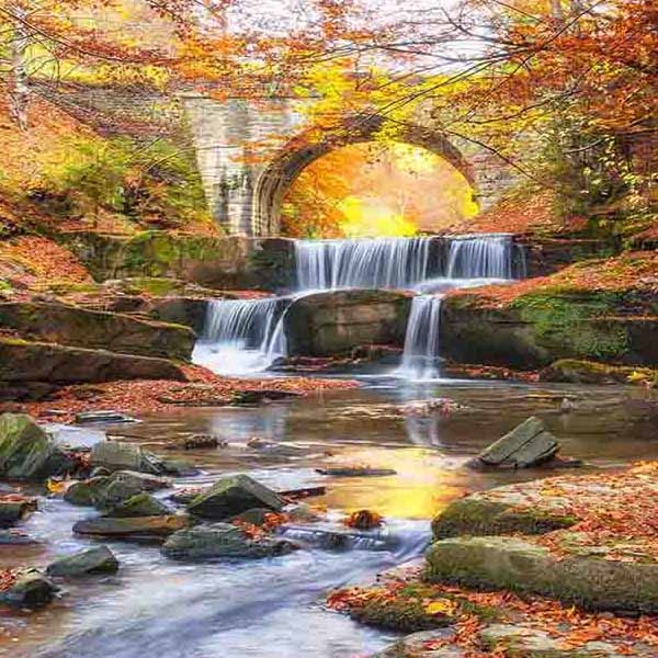 Autumn Waterfall Bridge will make a perfect background for any fresh or salt water tank or aquarium as well as dry terrariums.