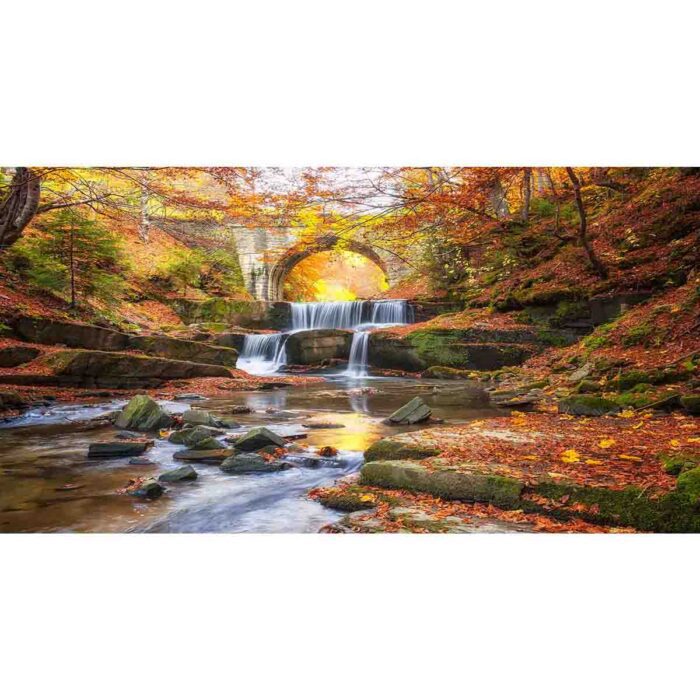 Autumn Waterfall Bridge will make a perfect background for any fresh or salt water tank or aquarium as well as dry terrariums.