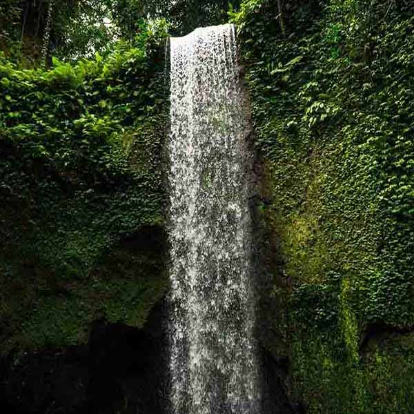 Bali Green Waterfall will make a perfect background for any fresh or salt water tank or aquarium as well as dry terrariums.