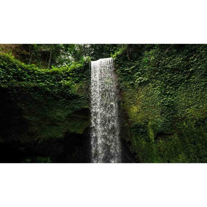 Bali Green Waterfall will make a perfect background for any fresh or salt water tank or aquarium as well as dry terrariums.