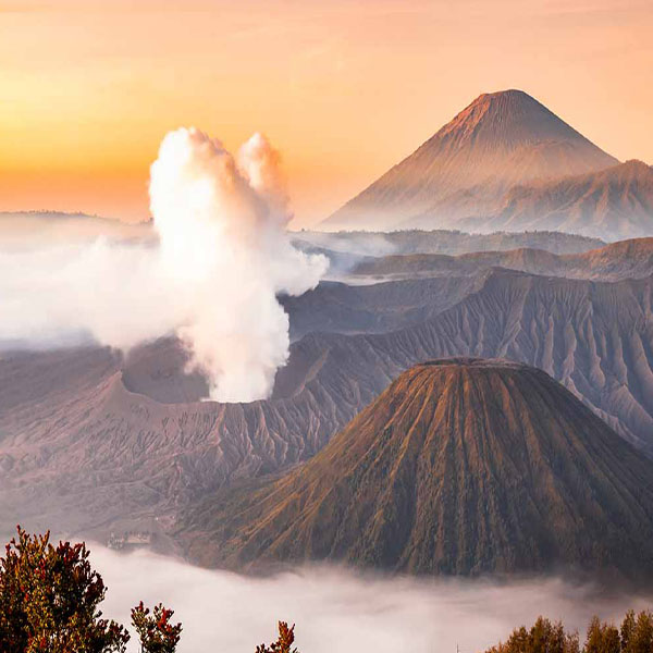 Batok Semeru Volcano will make a perfect background for any fresh or salt water tank or aquarium as well as dry terrariums.