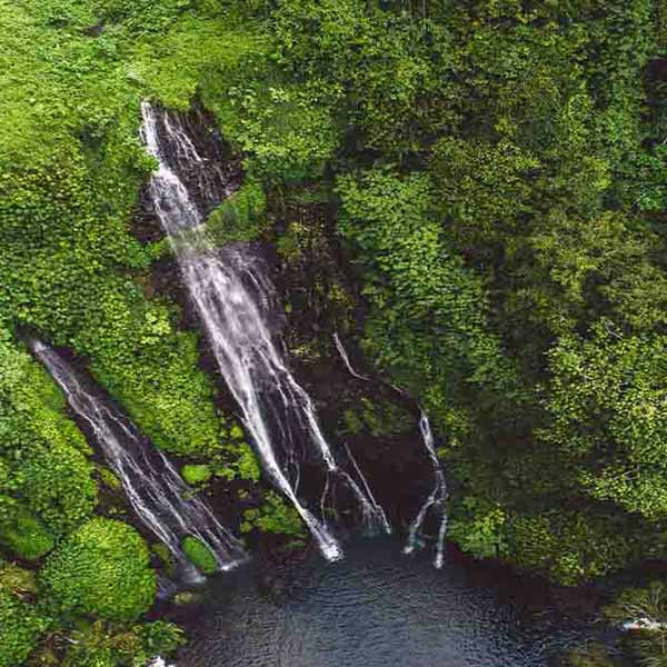 Beautiful Aerial Waterfall will make a perfect background for any fresh or salt water tank or aquarium as well as dry terrariums.