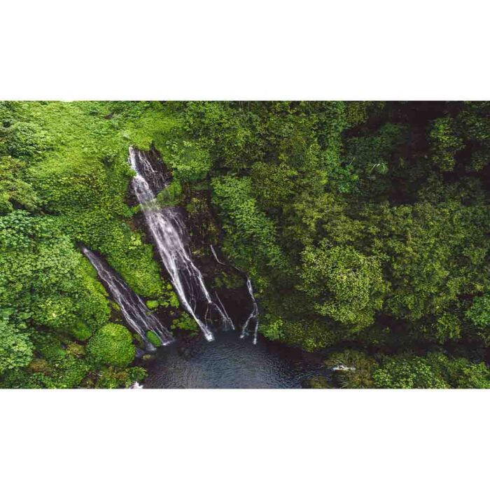 Beautiful Aerial Waterfall will make a perfect background for any fresh or salt water tank or aquarium as well as dry terrariums.