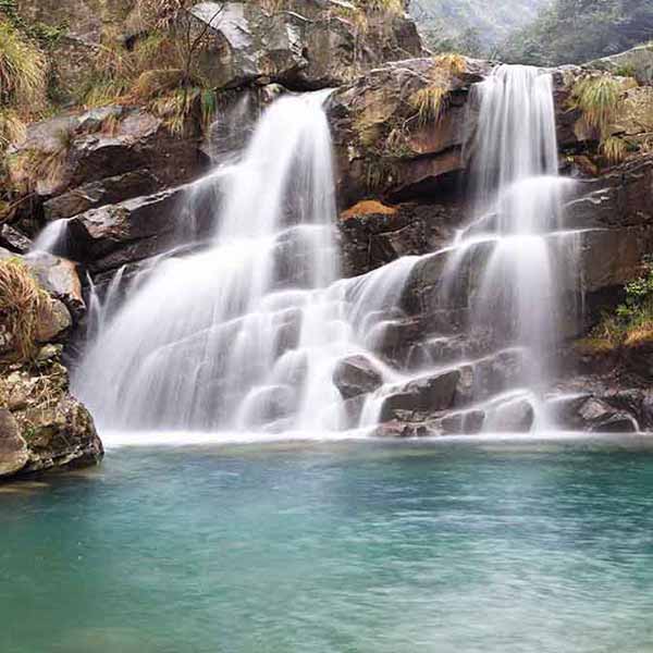 Beautiful Double Waterfall will make a perfect background for any fresh or salt water tank or aquarium as well as dry terrariums.