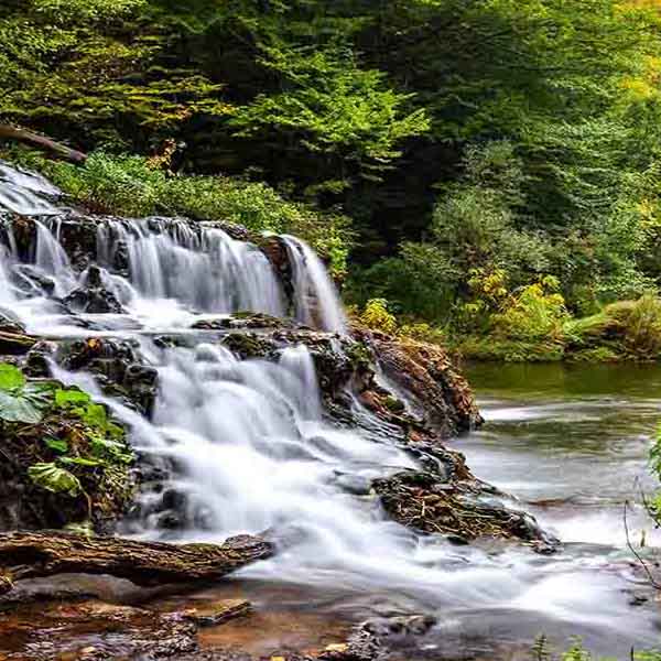 Beautiful Forest Waterfall will make a perfect background for any fresh or salt water tank or aquarium as well as dry terrariums.