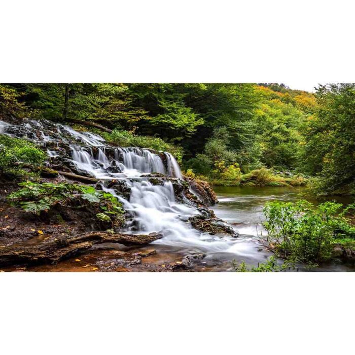 Beautiful Forest Waterfall will make a perfect background for any fresh or salt water tank or aquarium as well as dry terrariums.