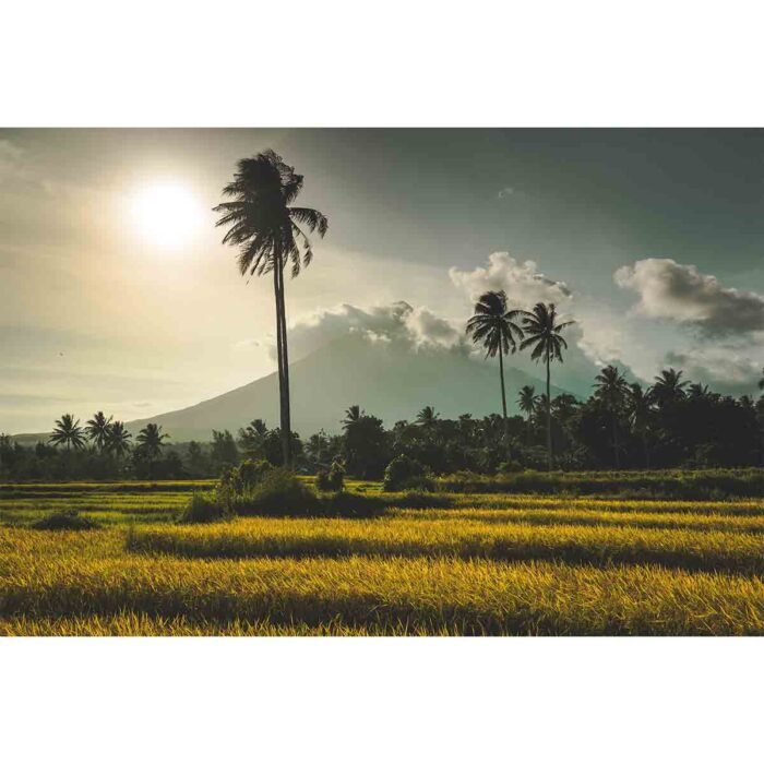 Beautiful Indonesia Volcano will make a perfect background for any fresh or salt water tank or aquarium as well as dry terrariums.