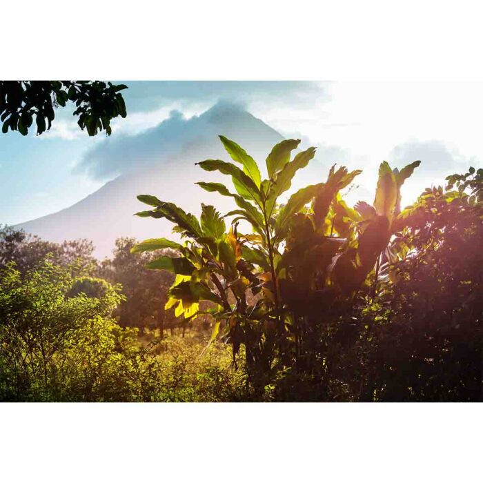 Beautiful Tropical Volcano will make a perfect background for any fresh or salt water tank or aquarium as well as dry terrariums.