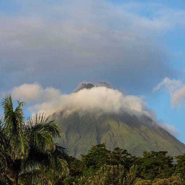 Beautiful Tropical Volcano II will make a perfect background for any fresh or salt water tank or aquarium as well as dry terrariums.